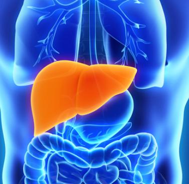 Hepatitis
