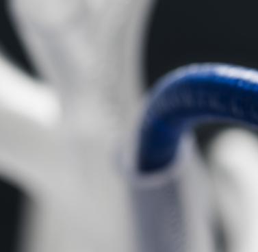 Robotic Platform  for Lung Cancer Diagnosis