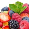 HealthPerks Banner HealthPerks Banner
